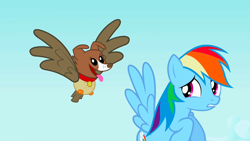 Size: 1280x720 | Tagged: safe, derpibooru import, screencap, owlowiscious, rainbow dash, winona, chimera, pegasus, pony, may the best pet win, allpet, collar, dog collar, dream, flying, panting, tongue out