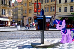 Size: 4672x3104 | Tagged: safe, derpibooru import, twilight sparkle, absurd resolution, czech republic, czechia, ponies in real life