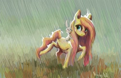 Size: 1889x1225 | Tagged: safe, artist:nayshie, angel bunny, fluttershy, pegasus, pony, female, mare, rain