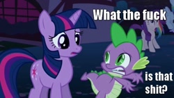 Size: 640x360 | Tagged: safe, derpibooru import, spike, twilight sparkle, dragon, image macro, meme, reaction image, vulgar