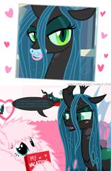 Size: 650x1000 | Tagged: safe, artist:mixermike622, edit, queen chrysalis, oc, oc:fluffle puff, changeling, changeling queen, earth pony, pony, a canterlot wedding, adorable distress, adorkable, angry, anxiety, awkward, blackmail, blushing, canon x oc, chrysipuff, crying, cute, cutealis, dork, dorkalis, duo, embarrassed, fangs, female, frown, happy, hyperventilating, immature, lesbian, looking at each other, mare, meme, nervous, obey, open mouth, pacifier, panic attack, scared, shipping, silly, silly pony, smiling, spoiled, standing, submissive, sweat, teary eyes, wings, worried