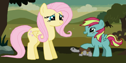 Size: 1205x607 | Tagged: safe, artist:majkashinoda626, fluttershy, oc, pegasus, pony, turtle