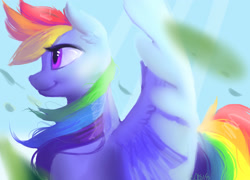 Size: 3008x2160 | Tagged: safe, artist:obsidelle, derpibooru import, rainbow dash, pegasus, pony, bust, female, looking away, mare, portrait, profile, smiling, solo, spread wings, windswept mane, wings