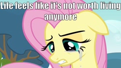 Size: 1280x720 | Tagged: safe, fluttershy, pegasus, pony, crying, depressed, image macro, life, solo