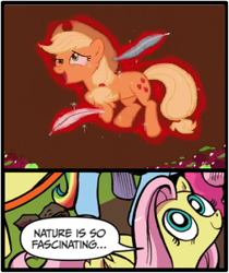 Size: 397x473 | Tagged: safe, idw, applejack, fluttershy, earth pony, pegasus, pony, blue coat, blue eyes, dialogue, exploitable meme, female, looking up, mare, meme, multicolored tail, nature is so fascinating, pink coat, pink mane, smiling, speech bubble, tickling, wings, yellow coat