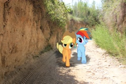 Size: 5000x3333 | Tagged: safe, artist:floppychiptunes, artist:tokkazutara1164, derpibooru import, applejack, rainbow dash, dirt, irl, pathway, photo, ponies in real life, racing, tire tracks, vector