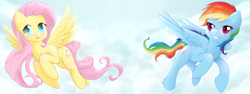 Size: 1600x600 | Tagged: safe, artist:tokokami, derpibooru import, fluttershy, rainbow dash, pegasus, pony, cloud, flying