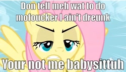 Size: 823x471 | Tagged: safe, fluttershy, pegasus, pony, drunk, image macro, solo, the hub