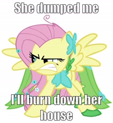 Size: 1926x2107 | Tagged: safe, fluttershy, pegasus, pony, angry, clothes, disproportionate retribution, dress, dumped, image macro, implied lesbian, shipping, solo, yandere