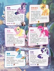 Size: 1556x2048 | Tagged: safe, derpibooru import, applejack, fluttershy, pinkie pie, rainbow dash, rarity, twilight sparkle, twilight sparkle (alicorn), alicorn, earth pony, pegasus, pony, unicorn, chinese, hong kong, mane six, name translation