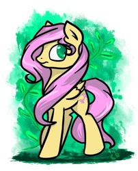 Size: 850x1050 | Tagged: safe, artist:cuprumrus, fluttershy, pegasus, pony, solo