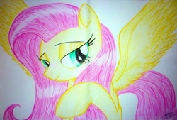 Size: 1024x692 | Tagged: safe, artist:bludraconoid, fluttershy, pegasus, pony, bedroom eyes, solo, traditional art