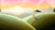 Size: 3840x2160 | Tagged: safe, artist:steve-taylor, fluttershy, pegasus, pony, scenery, solo, sunset