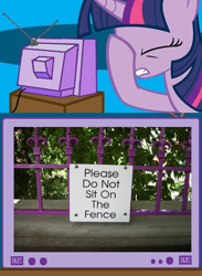 Size: 438x600 | Tagged: safe, derpibooru import, twilight sparkle, exploitable meme, facehoof, fence, tv meme