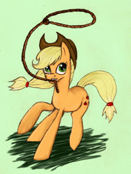 Size: 774x1032 | Tagged: dead source, safe, artist:xenalollie, applejack, earth pony, pony, lasso, mouth hold, rope, solo