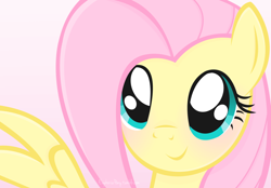 Size: 1280x891 | Tagged: safe, artist:euphoriapony, fluttershy, pegasus, pony, female, mare, solo, vector