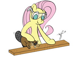 Size: 800x600 | Tagged: safe, artist:stuhp, fluttershy, beaver, pegasus, pony, carpentry, safety goggles, wood