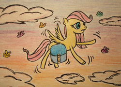 Size: 1054x758 | Tagged: safe, artist:stargazer96, fluttershy, pegasus, pony, bag, flying, solo, traditional art, younger