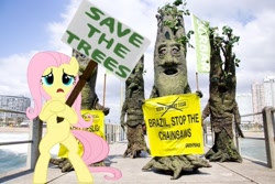 Size: 500x333 | Tagged: safe, edit, fluttershy, pegasus, pony, brazil, protest, sign, tree