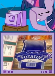 Size: 563x771 | Tagged: safe, derpibooru import, twilight sparkle, exploitable meme, facehoof, fail, meme, seems legit, tv meme, wood