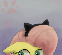 Size: 800x709 | Tagged: safe, artist:hewison, fluttershy, pegasus, pony, cat ears, fluttercat, solo