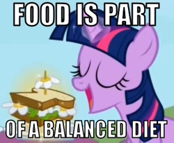 Size: 371x304 | Tagged: safe, derpibooru import, edit, edited screencap, screencap, twilight sparkle, pony, the ticket master, captain obvious, daffodil and daisy sandwich, female, food, image macro, mare, meme, no shit sherlock, sandwich, shaped like itself, solo