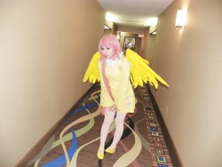Size: 4288x3216 | Tagged: safe, artist:megelo, fluttershy, human, cosplay, irl, irl human, photo, solo
