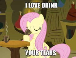 Size: 931x720 | Tagged: safe, fluttershy, pegasus, pony, crying, drink, engrish, grammar error, image macro, meme, solo, your tears are delicious