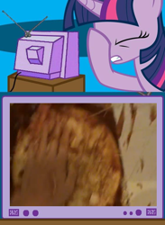 Size: 438x600 | Tagged: safe, derpibooru import, twilight sparkle, exploitable meme, facehoof, how to basic, how to make a pizza, pizza, tv meme