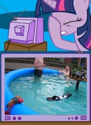 Size: 563x771 | Tagged: safe, derpibooru import, twilight sparkle, barbeque, electricity, exploitable meme, facehoof, fail, meme, safety, swimming pool, tv meme