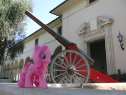 Size: 3264x2448 | Tagged: safe, pinkie pie, brushable, california institute of technology, cannon, college, irl, photo, ponies around the world, toy