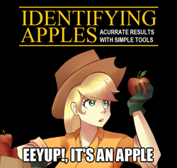 Size: 527x499 | Tagged: safe, artist:mercenario1945, artist:sallymon, applejack, apple, humanized, identifying wood, image macro, misspelling