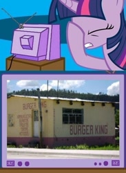 Size: 563x771 | Tagged: safe, derpibooru import, twilight sparkle, burger king, exploitable meme, facehoof, meme, seems legit, tv meme