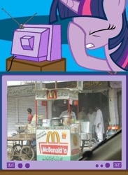 Size: 563x771 | Tagged: safe, derpibooru import, twilight sparkle, exploitable meme, facehoof, karachi, mcdonald's, meme, pakistan, seems legit, tv meme