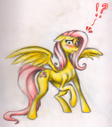 Size: 780x884 | Tagged: safe, artist:benrusk, fluttershy, pegasus, pony, female, mare, pink mane, solo, yellow coat