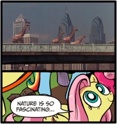 Size: 397x418 | Tagged: safe, idw, fluttershy, giraffe, pegasus, pony, blue coat, blue eyes, dialogue, exploitable meme, female, looking up, mare, meme, multicolored tail, nature is so fascinating, obligatory pony, pink coat, pink mane, smiling, speech bubble, twelve monkeys, wings, yellow coat