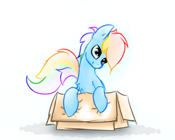 Size: 1280x1024 | Tagged: safe, artist:o0o-bittersweet-o0o, derpibooru import, rainbow dash, pegasus, pony, box, colored sketch, pony in a box, sitting, sketch, smiling, solo