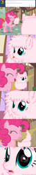 Size: 650x3125 | Tagged: safe, artist:mixermike622, pinkie pie, oc, oc:fluffle puff, earth pony, pony, close-up, comic, cotton candy, eating, food, tumblr, tumblr:ask fluffle puff