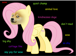 Size: 500x367 | Tagged: safe, edit, fluttershy, pegasus, pony, doge, meme, text, wat