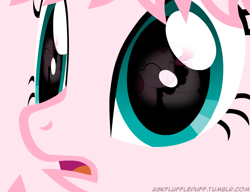 Size: 650x500 | Tagged: safe, artist:mixermike622, pinkie pie, oc, oc:fluffle puff, earth pony, pony, close-up, cotton candy, eyes, food, reflection