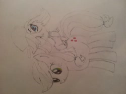 Size: 2048x1536 | Tagged: safe, artist:marxon6, applejack, dog, earth pony, pony, crossover, duo, littlest pet shop, partial color, sideways image, sketch, traditional art, zoe trent