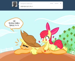 Size: 920x738 | Tagged: safe, apple bloom, applejack, earth pony, pony, applejack-kor, korean, massage, pain, tumblr