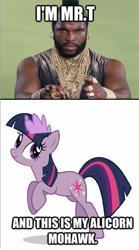 Size: 375x674 | Tagged: safe, derpibooru import, edit, twilight sparkle, twilight sparkle (alicorn), alicorn, pony, caption, female, mare, mohawk, mr. t, warcraft, world of warcraft