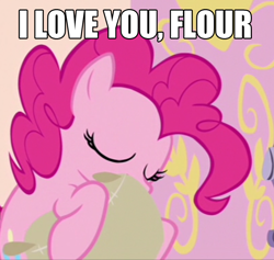 Size: 732x693 | Tagged: safe, pinkie pie, earth pony, pony, female, flour, image macro, mare, pink coat, pink mane, solo