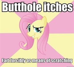 Size: 400x361 | Tagged: safe, fluttershy, pegasus, pony, foul bachelorette fluttershy, image macro, implied farting, meme, solo