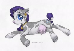 Size: 1280x895 | Tagged: safe, artist:ecmajor, rarity, cow, cowbell, ear tag, piercing, raricow, solo, species swap, udder, underhoof