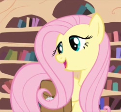 Size: 520x480 | Tagged: safe, screencap, fluttershy, pegasus, pony, just for sidekicks, female, mare, solo