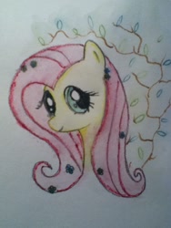 Size: 720x960 | Tagged: safe, artist:ziraflyx, fluttershy, pegasus, pony, female, mare, solo, traditional art