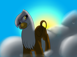 Size: 500x375 | Tagged: safe, artist:barrzalex, gilda, griffon, parasprite, beak, cloud, female, hippie, solo, sun, wings