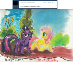 Size: 1154x989 | Tagged: safe, artist:kittyhawk-contrail, derpibooru import, fluttershy, twilight sparkle, pegasus, pony, ask multimedia mane six